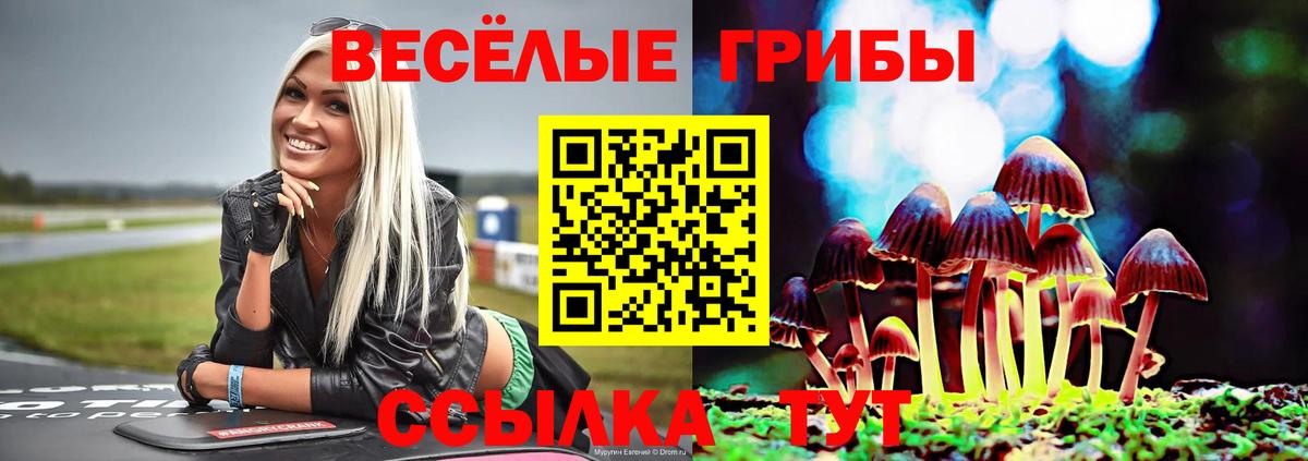 Псилоцибиновые грибы прущие грибы Новоалександровск